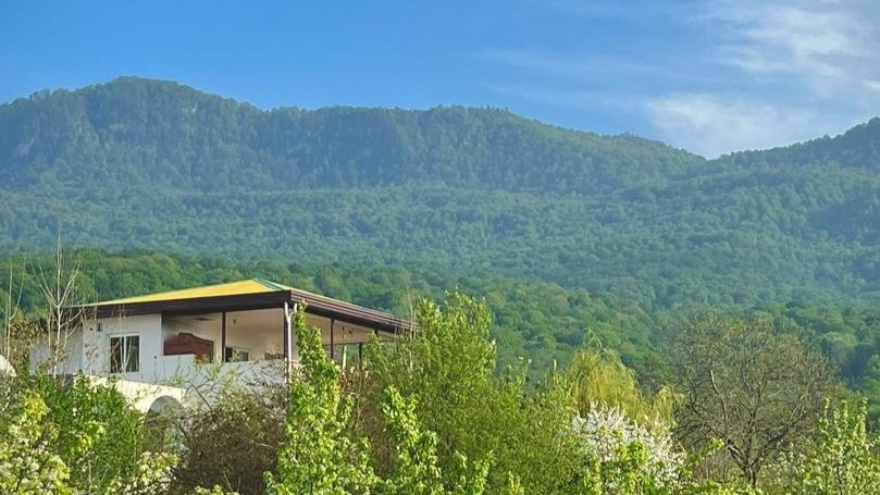 ویلا تک خوابه جنگلی استخردار دوده