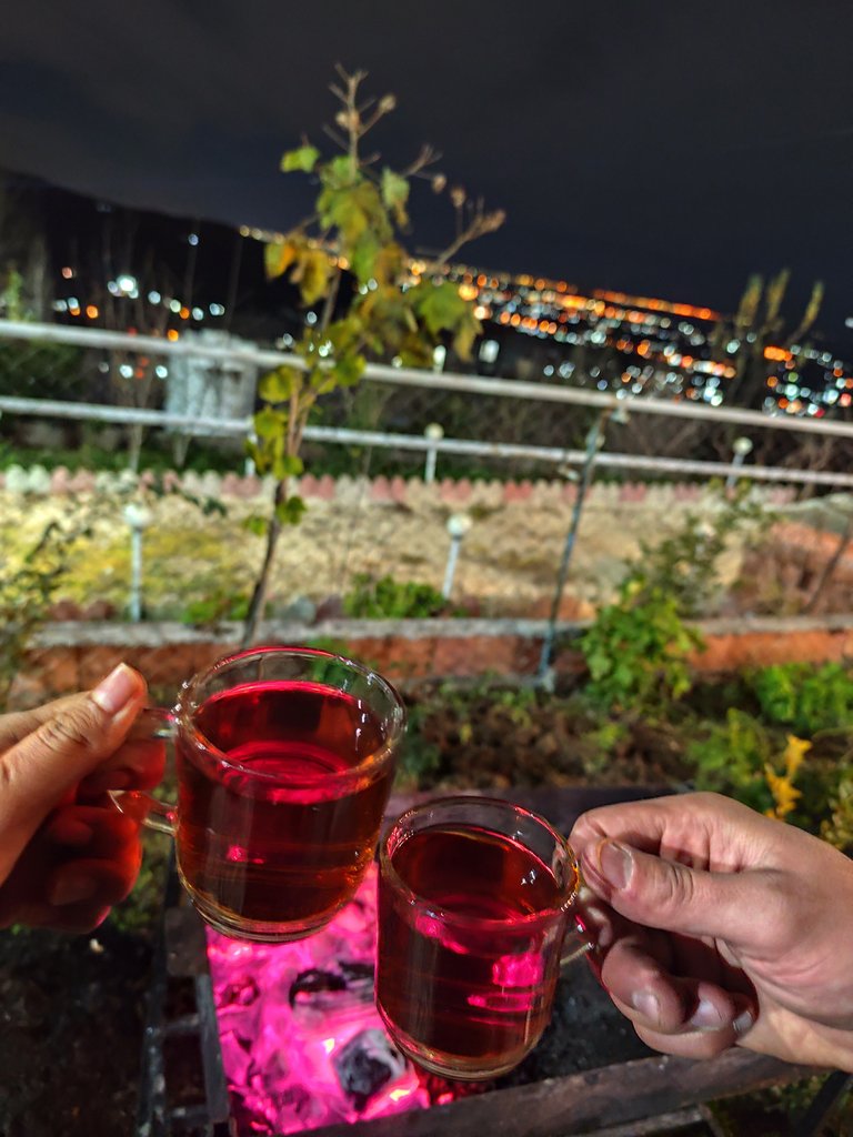 ویلا دوخوابه جنگلی استخردار دوده