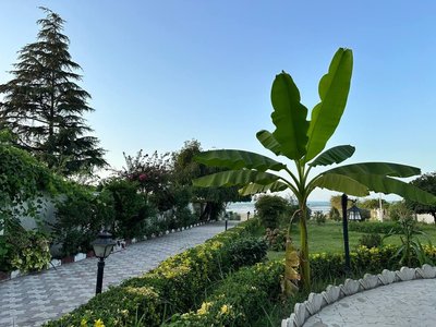 ویلا سه خوابه ساحلی استخردار آبگرم بالی