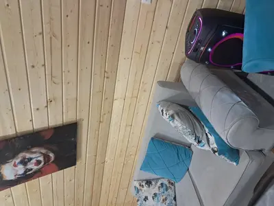 کلبه یک خوابه دِمان