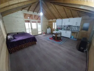 کلبه فلت جنگلی رایکا