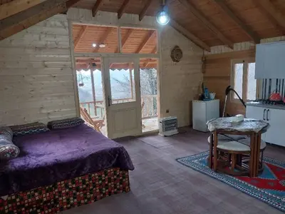 کلبه فلت جنگلی رایکا