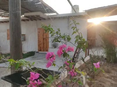 سوئیت یک خوابه ال هوم