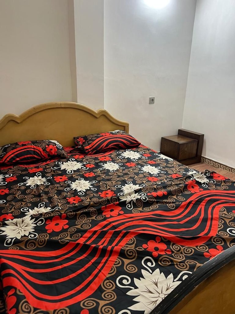 آپارتمان جنگلی بالاس