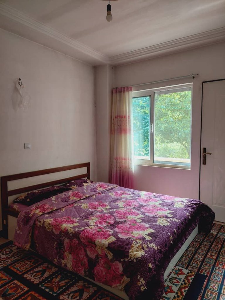 دوخوابه جنگلی محجوب ۳