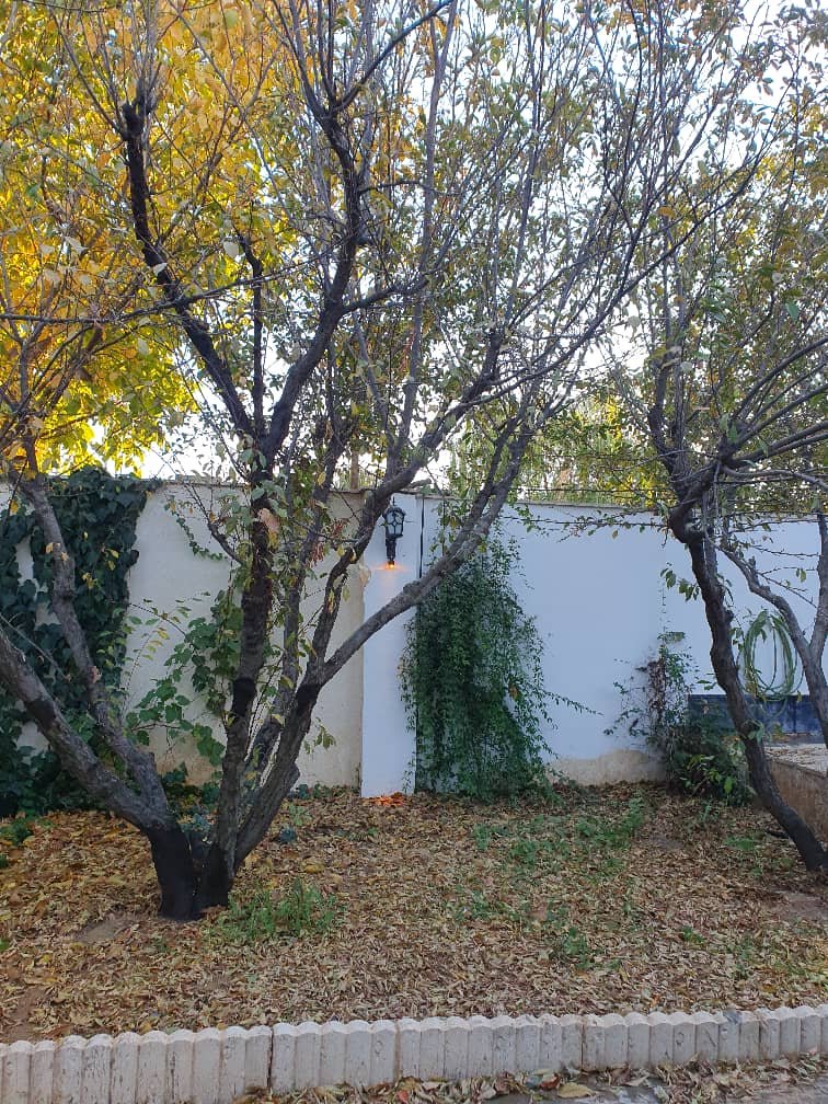 ویلا یک خوابه طلا