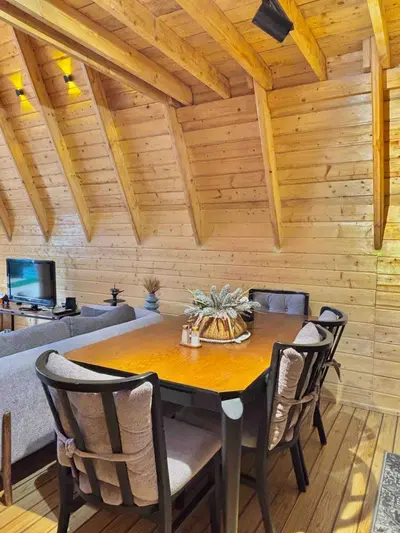 کلبه دوخوابه سوئیسی استخردار آبگرم گل آقا