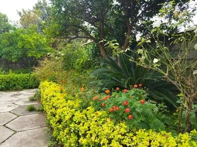 ویلا دوخوابه فرهنگیان