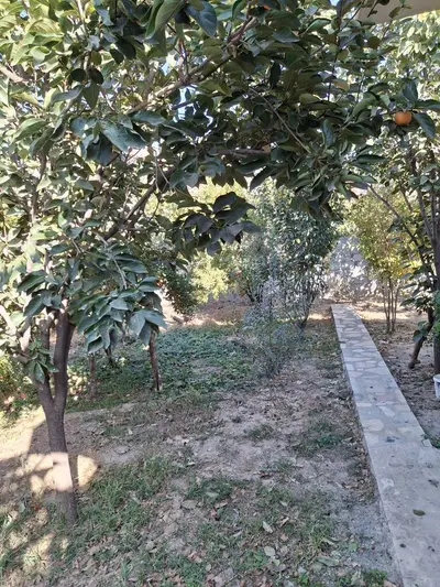 ویلا یک خوابه طاق بستان 2