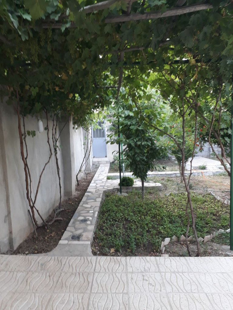 ویلا دوخوابه طاق بستان 2