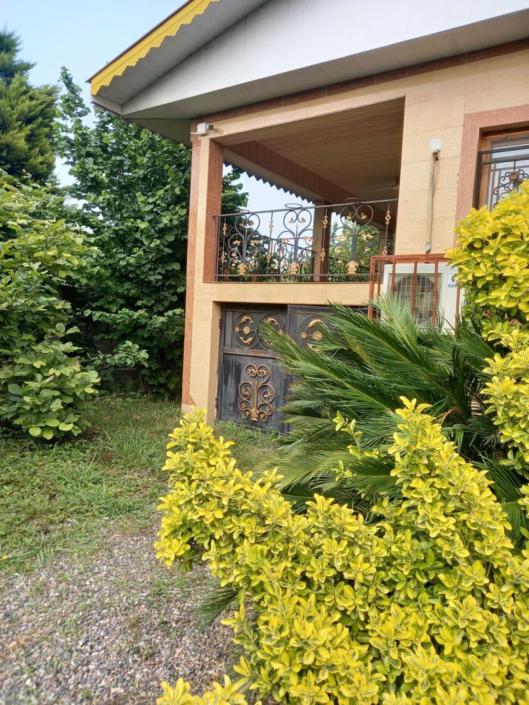 ویلا دوخوابه باغ نازگل