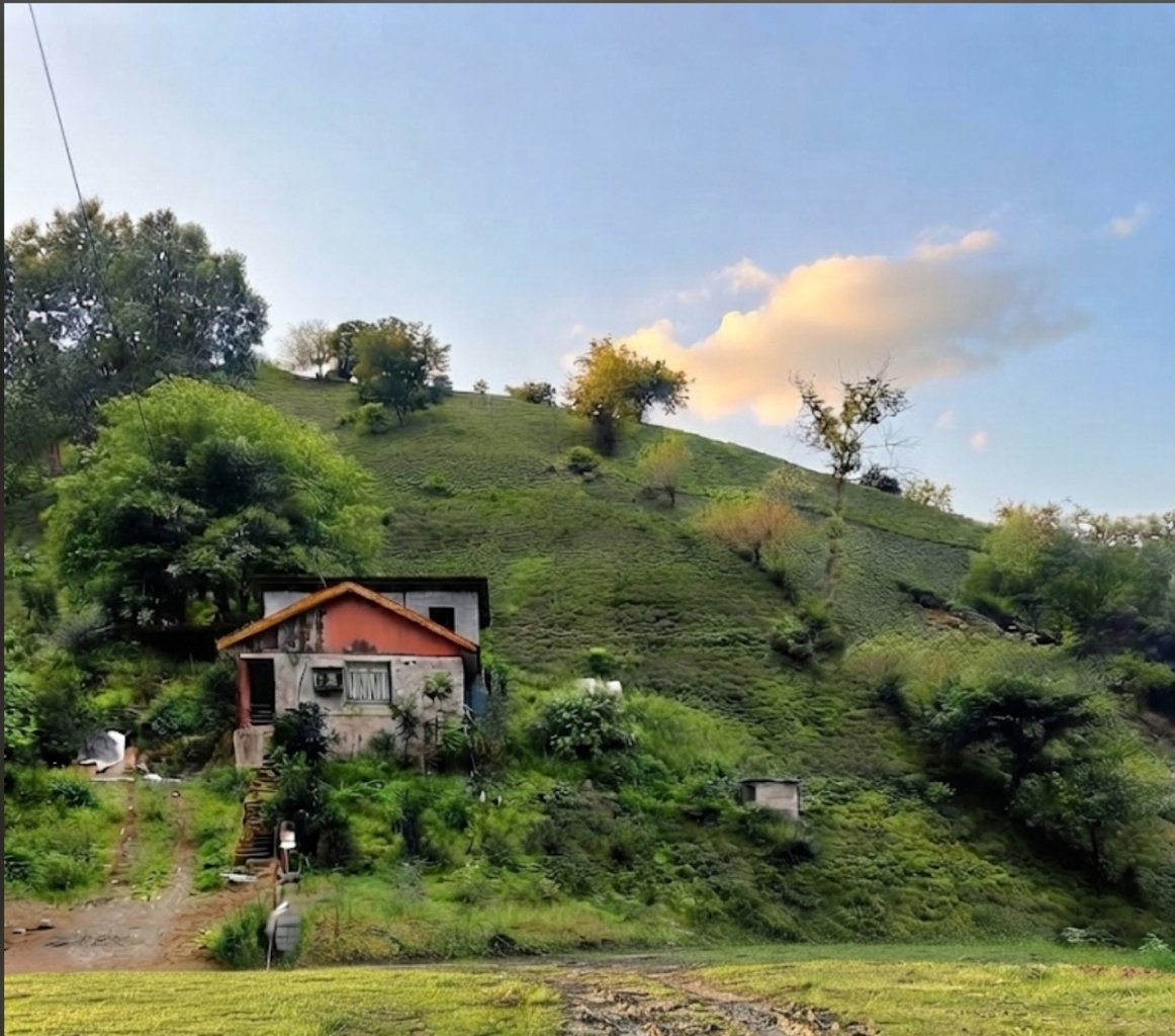 کلبه فلت عطاکوه