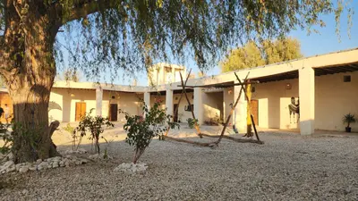 بومگردی حورا - واحد جهله