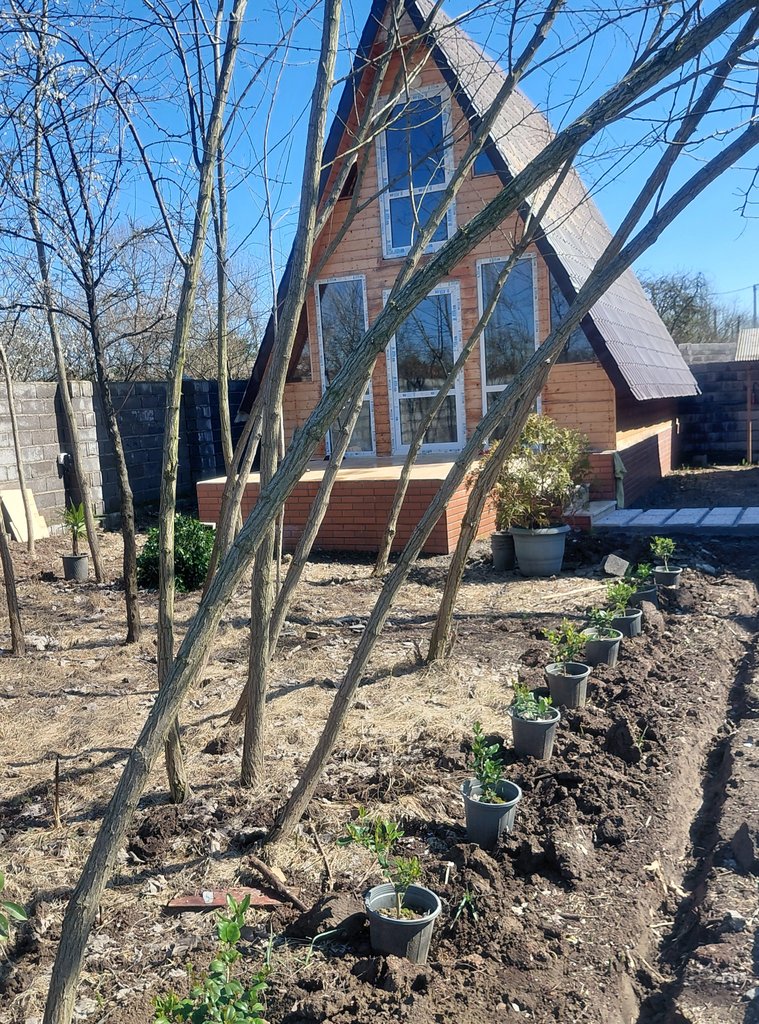 کلبه یک خوابه چوبی روشن