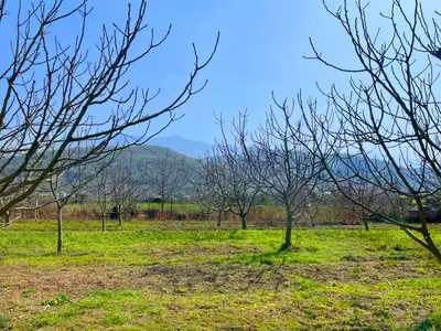 اقامتگاه سنتی یک خوابه سنتی خورشید