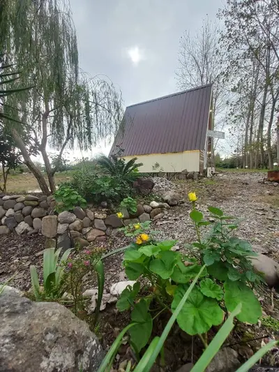 کلبه یک خوابه سوئیسی دافسار