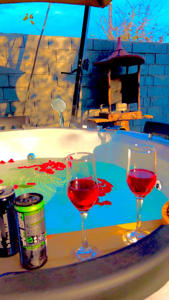 کلبه دوخوابه جنگلی سوئیسی جکوزی دار هاریکا