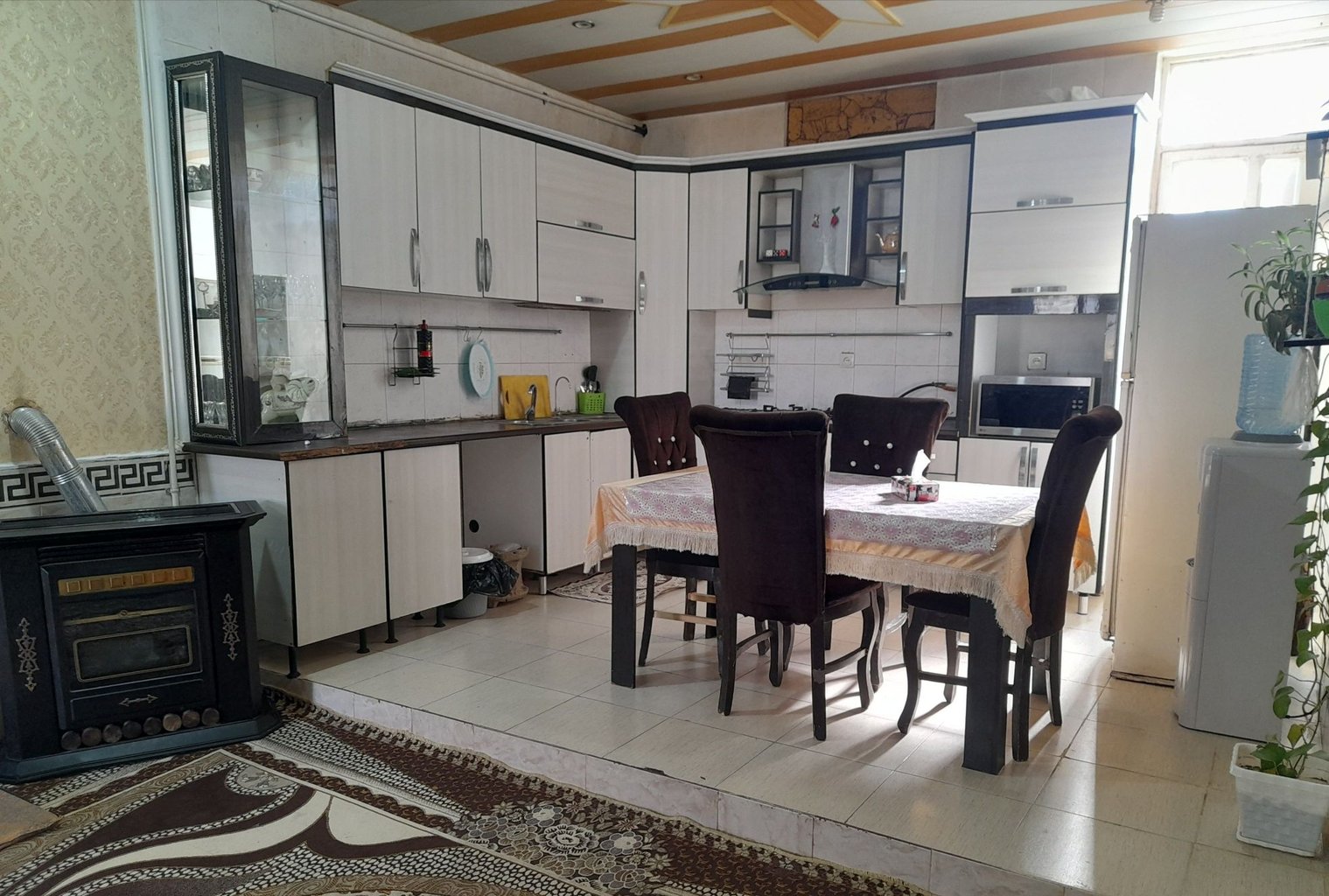 یک خوابه گل پتوس 1