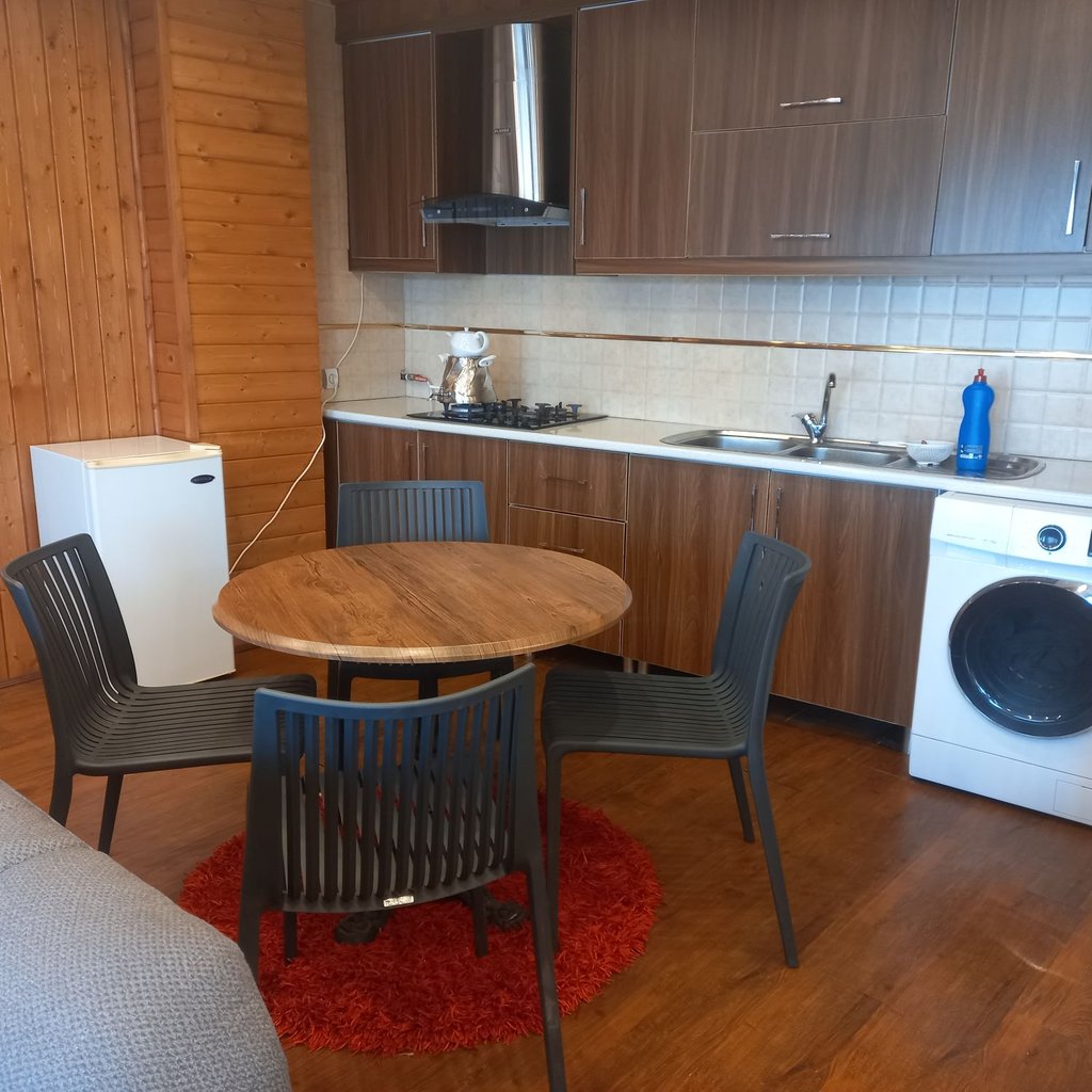 سوئیت فلت جنگلی گرین لند 2