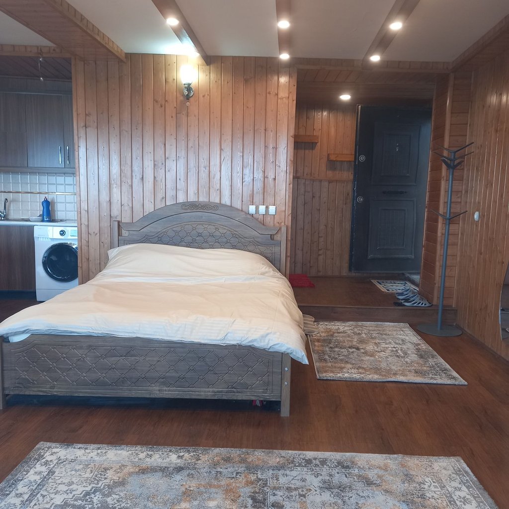 سوئیت فلت جنگلی گرین لند 2