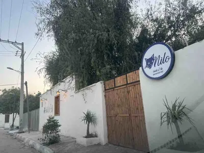 بومگردی میلو - واحد لئو