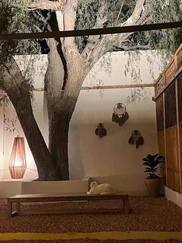 بوم گردی میلو 1 - واحد کاج