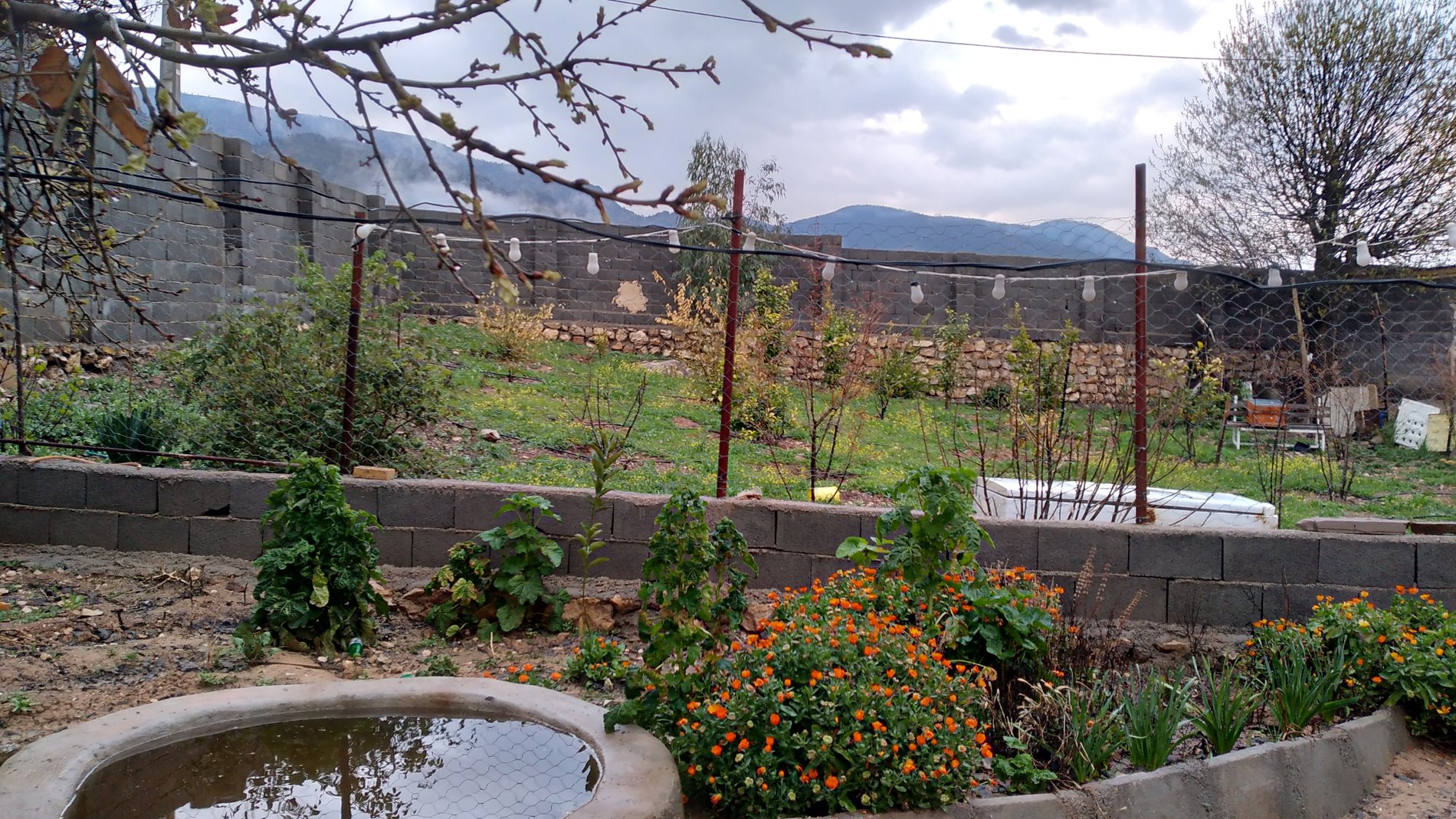 ویلا یک خوابه باغ کیانی