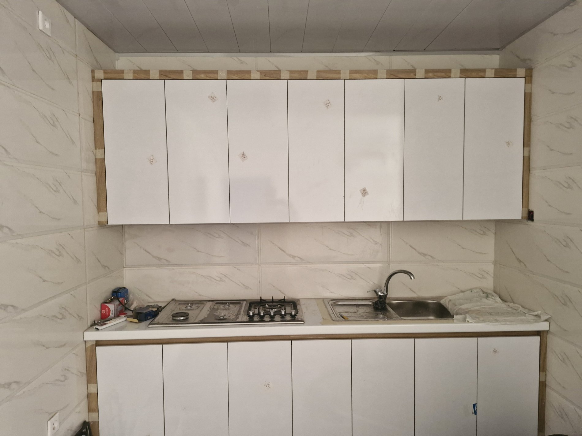 بومگردی آنامیس 1 - واحد مفنق