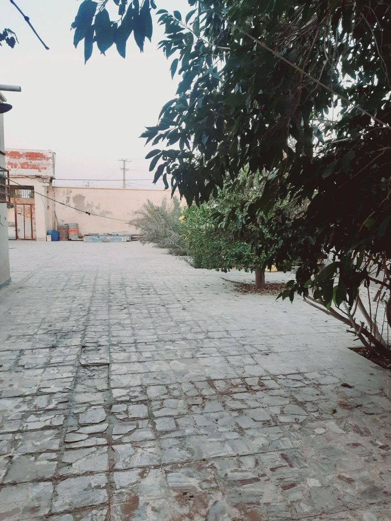 سوئیت یک خوابه خانه پدر ۲