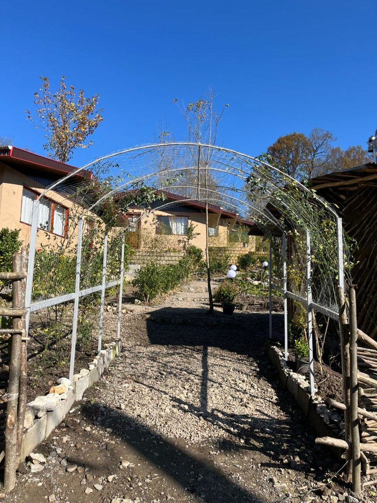 کلبه سیوا - واحد سیکا