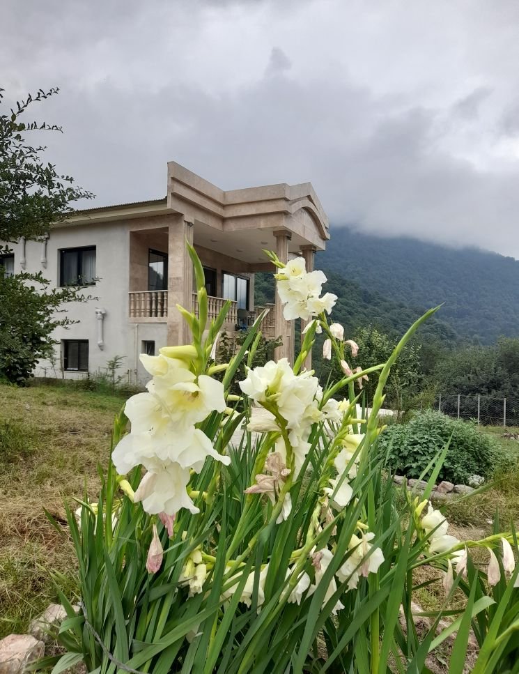 ویلا دوخوابه جنگلی لزیر واز سفلی