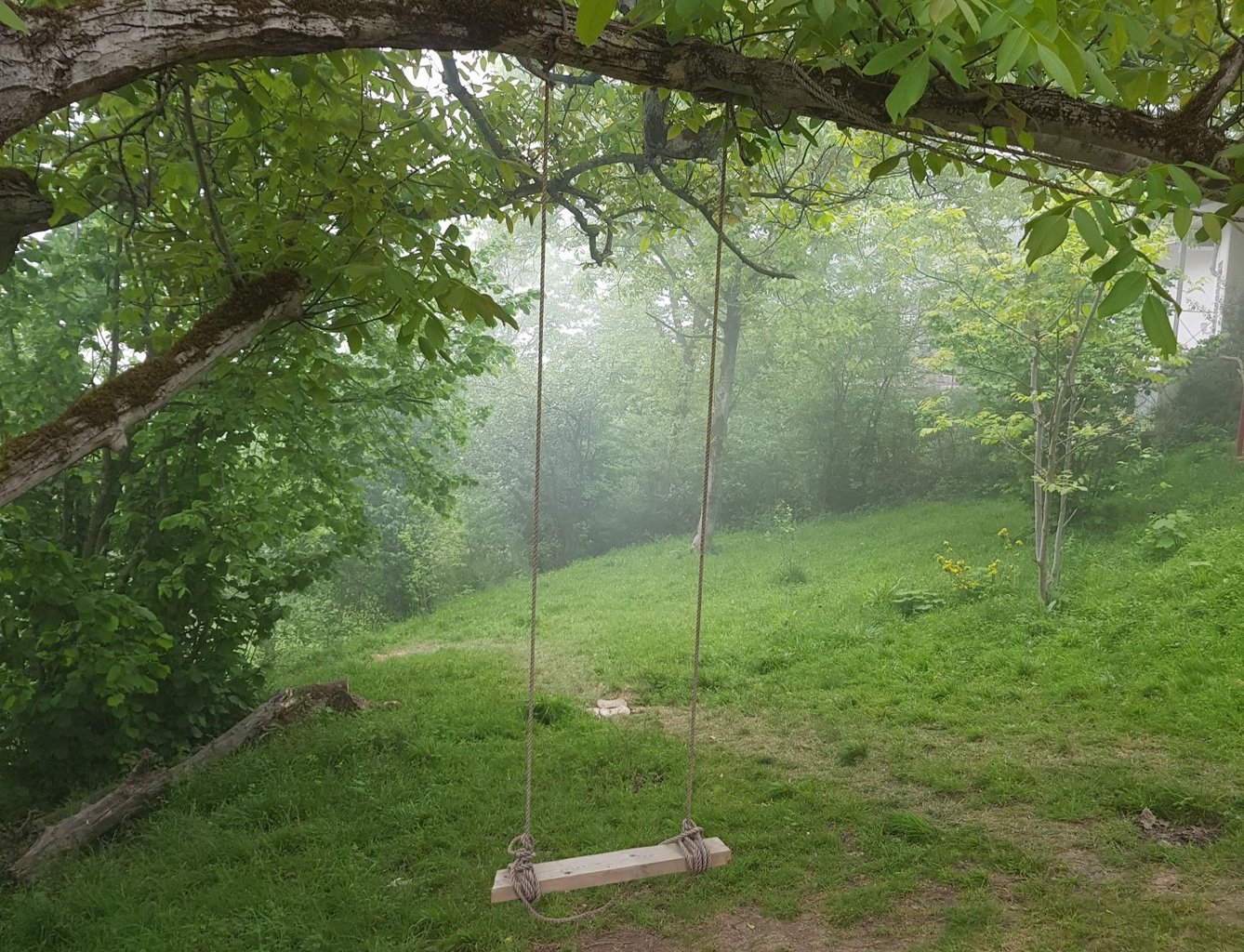 ویلا دوخوابه افشین 1 - تاب درختی