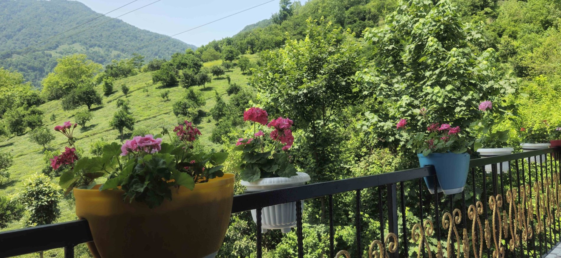 آپارتمان دوخوابه افرا واحد 2