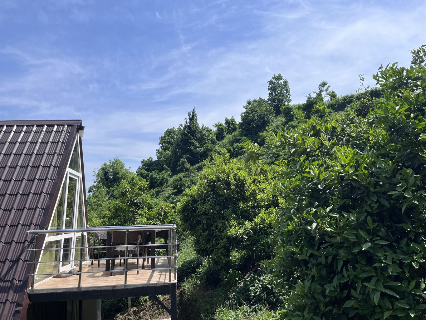 کلبه یک خوابه سوئیسی بهارنارنج