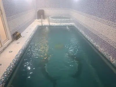 ویلا دوخوابه استخردار آبگرم محمودی 7