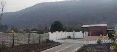 کلبه فلت جنگلی دریادیم