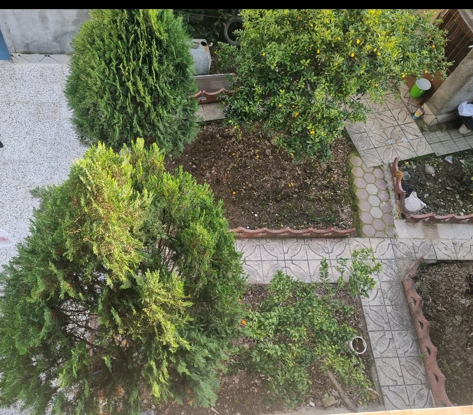 ویلا یک خوابه خورشید لقا