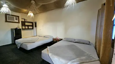 بومگردی چهارتخته لوتیو - تیو 1