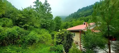 ویلا دوخوابه جنگلی عارف