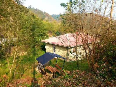 ویلا دوخوابه جنگلی عارف