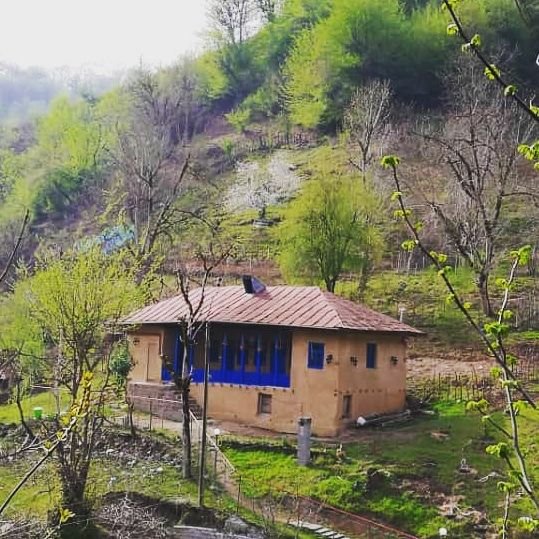 سه خوابه جنگلی سیتکا