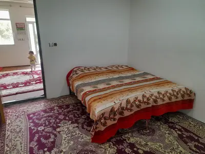 سوئیت یک خوابه جنگلی پشین