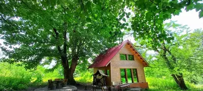 کلبه یک خوابه جنگلی جوارم 6