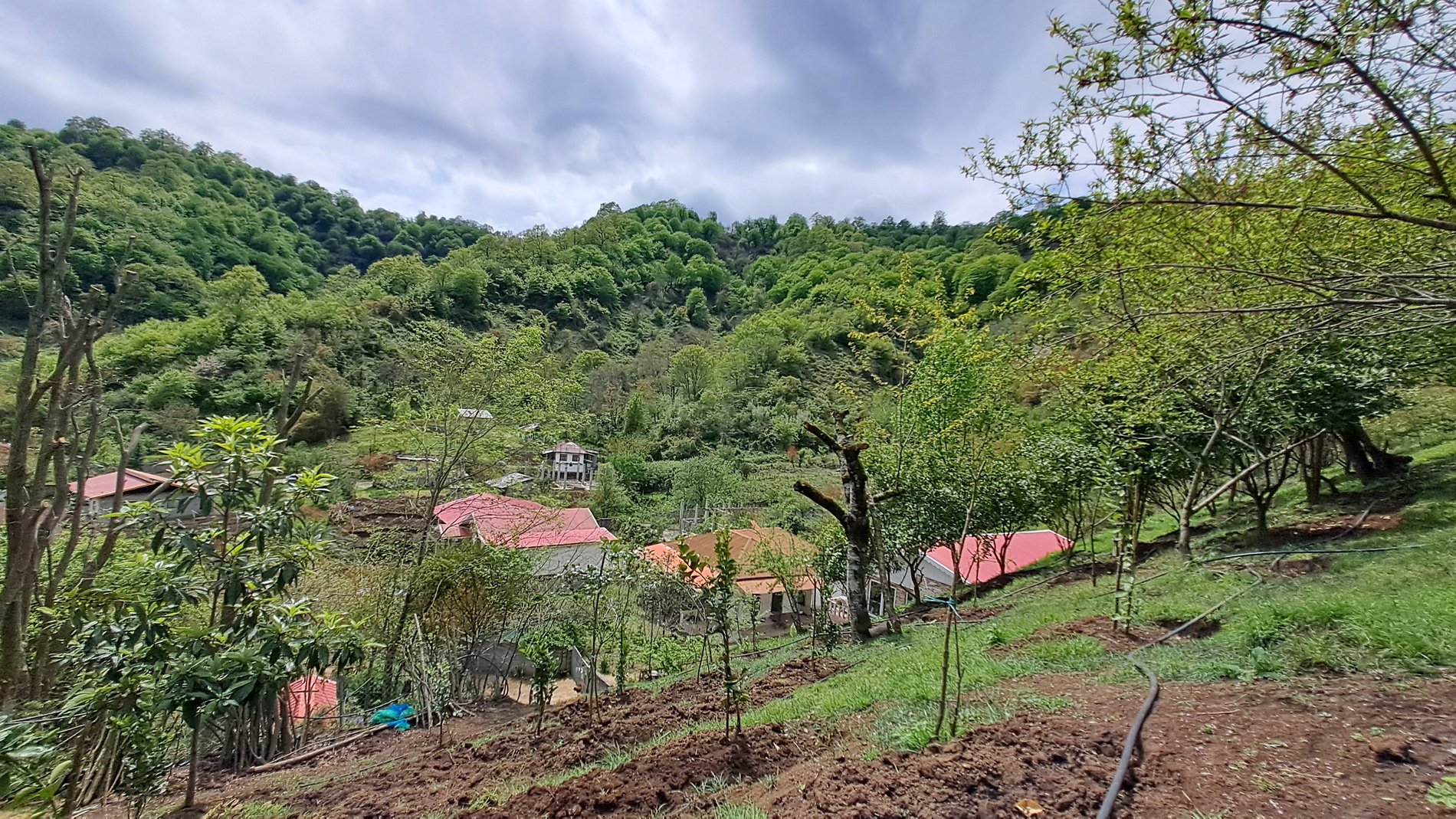 ویلا ویلا پلاک یک جنگلی پرهام 