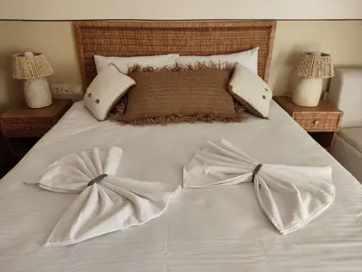 اقامتگاه سنتی گودو - واحد دلارام نوفل لوشاتو