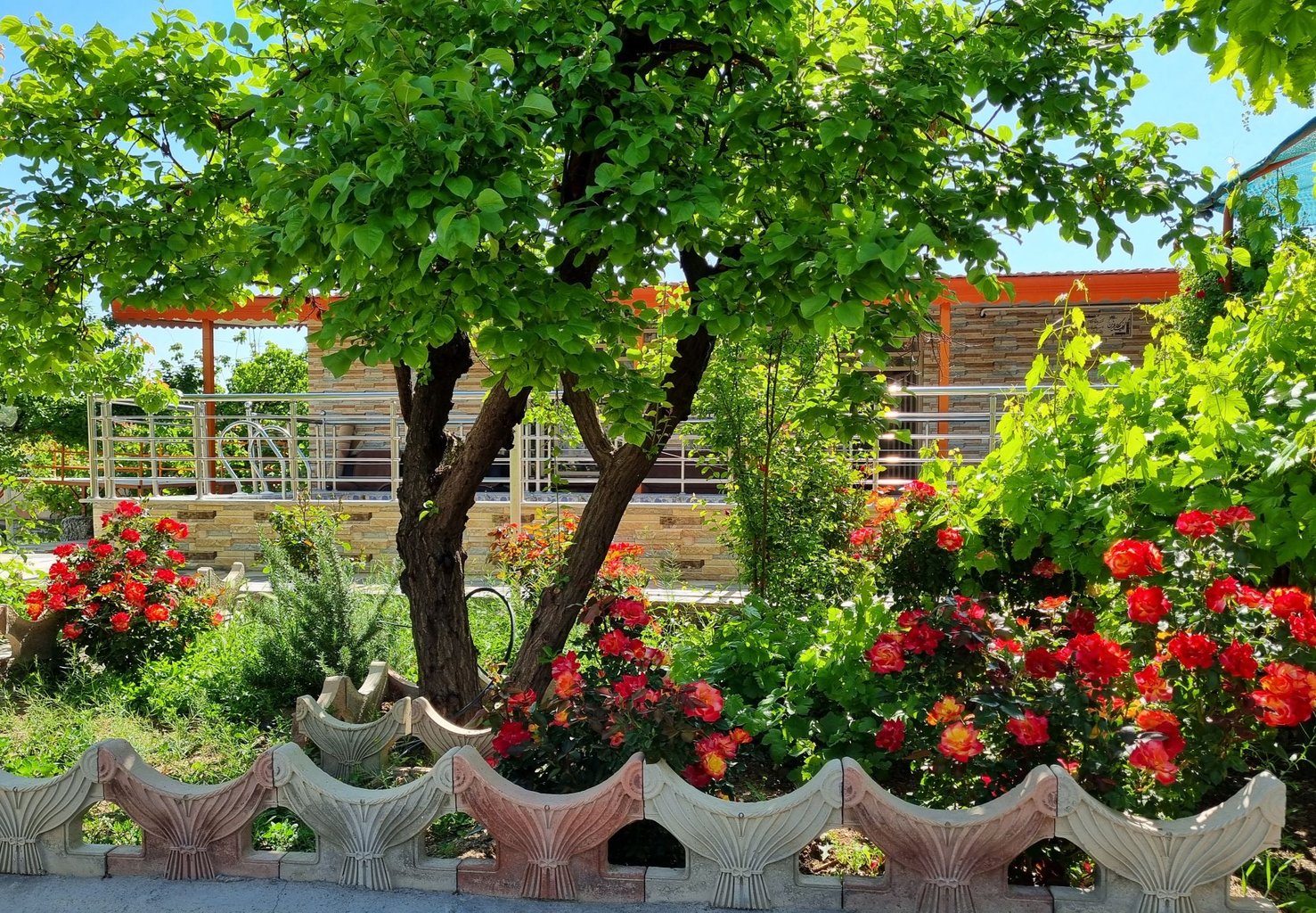 فلت قلعه سفید