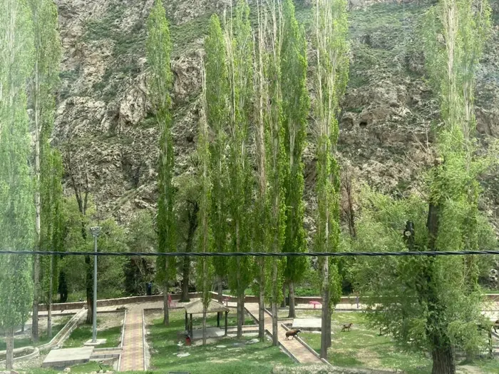 سوئیت کیومرث - واحد سه تخته 2