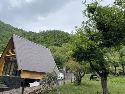 کلبه دوخوابه سوئیسی اسب ریسه