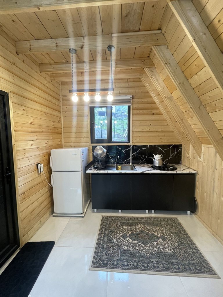 دوخوابه سوئیسی اسب ریسه