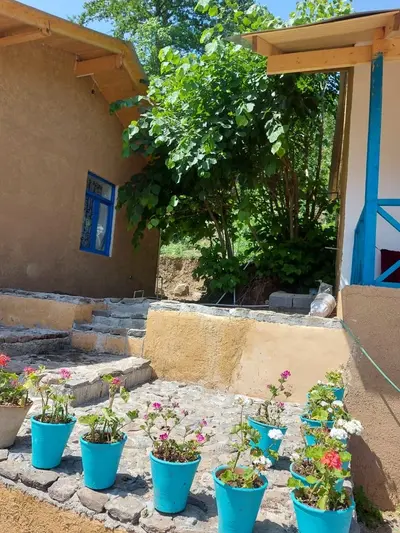 سوئیت فلت چیچک